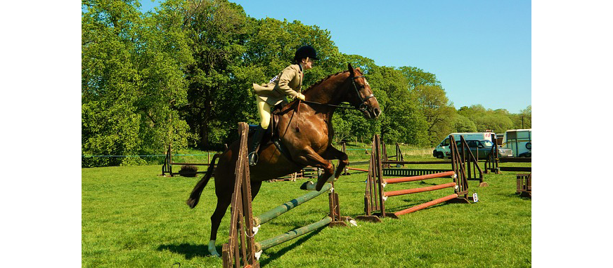 Чем полезен конный спорт для девушек