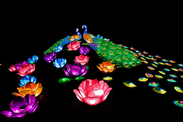 Фестиваль гигантских китайских фонарей в Петербурге