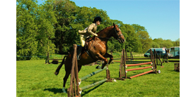 Езда на лошади полезна для женщин thumbnail