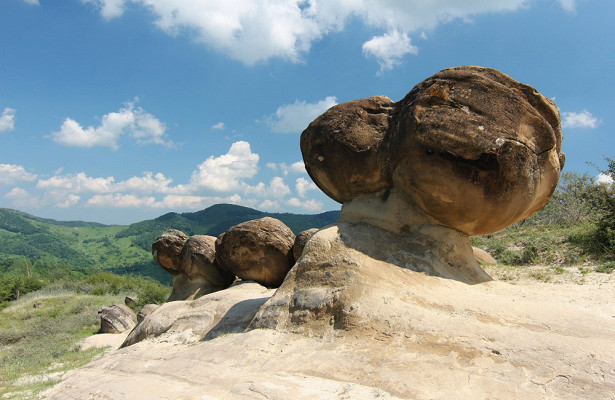 В Казахстане найдены живые камни