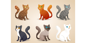 Какую кошку выбрать: породистую или беспородную?