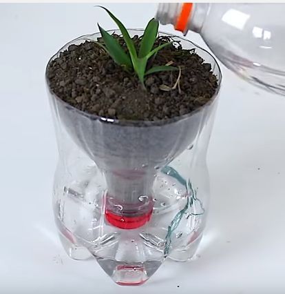 Автополив для растений
