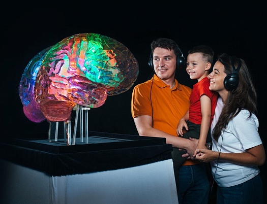 Интерактивная выставка «Мозг: Вселенная внутри нас» в Санкт-Петербурге