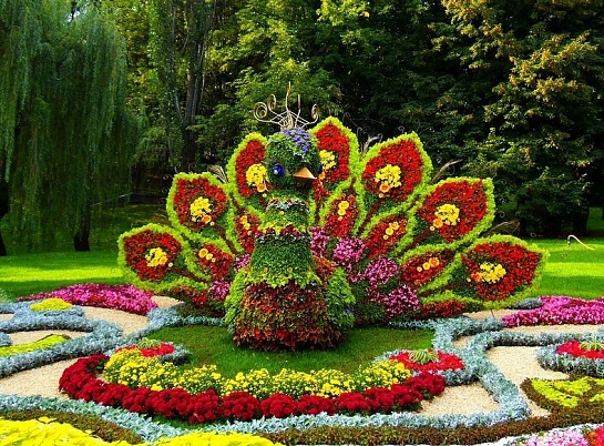 Фестиваль «Императорские сады» в Санкт-Петербурге