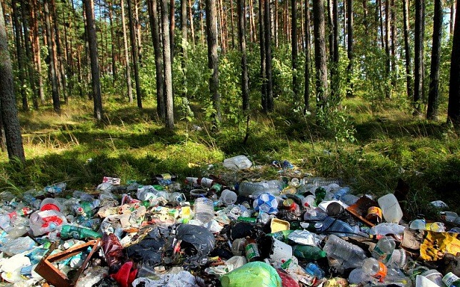 В Калужской области нашли мусор Льва Лещенко